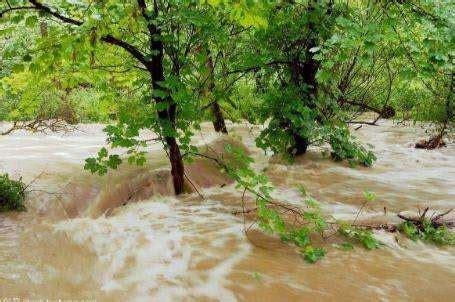 夢見大水|夢見洪水、發大水